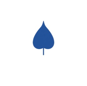 BluePipal Logo